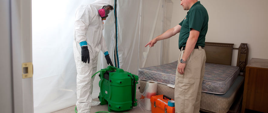 Quincy, FL mold removal process